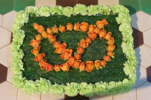 Photo of the Stafford Knot in flowers at Meerbrook Flower Festival 2017